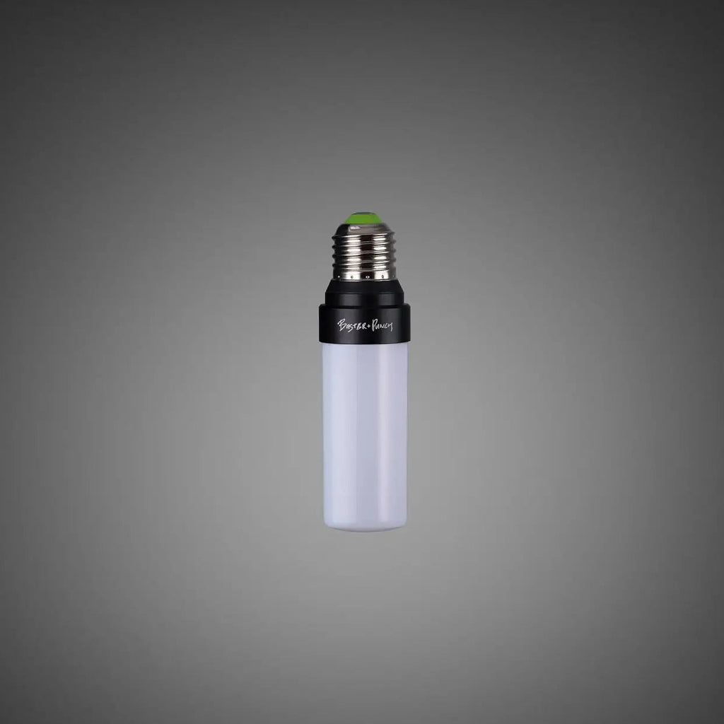 Ampoule LED E27 fine à diffuseur opale, 5 W, 2700 K