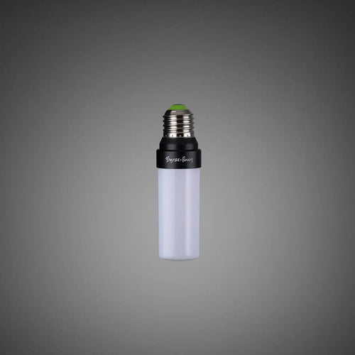 Ampoule LED E27 fine à diffuseur opale, 5 W, 2700 K