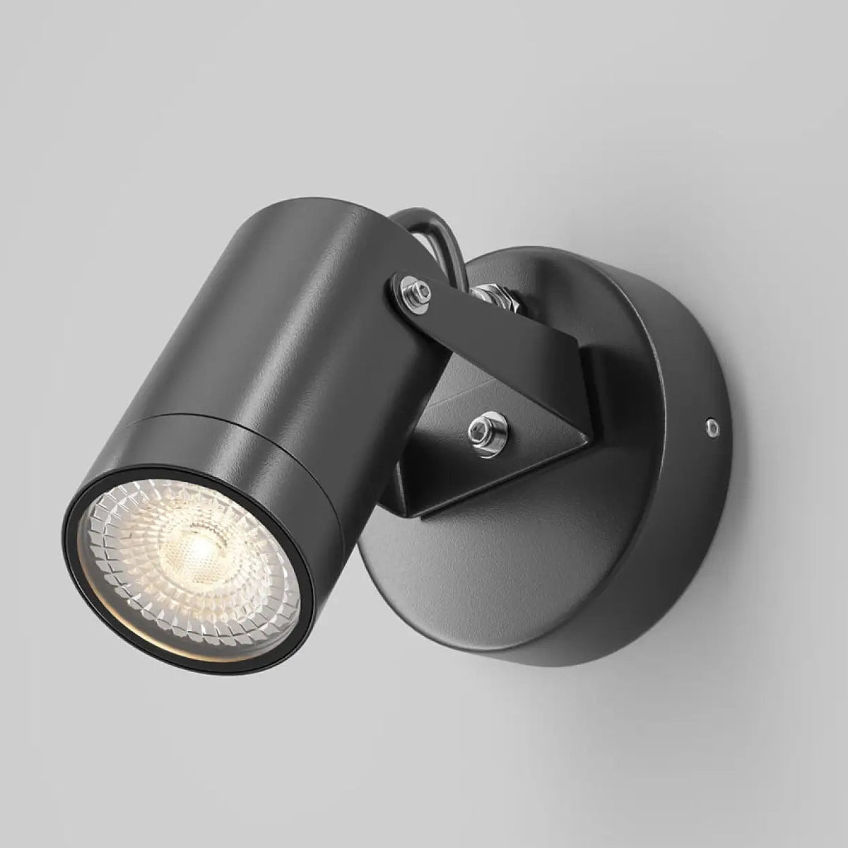 Applique extérieure projecteur orientable en acier noir, IP65