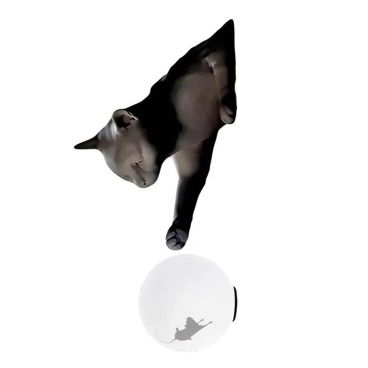 Applique murale chat avec boule lumineuse, blanc, noir ou gris, noir