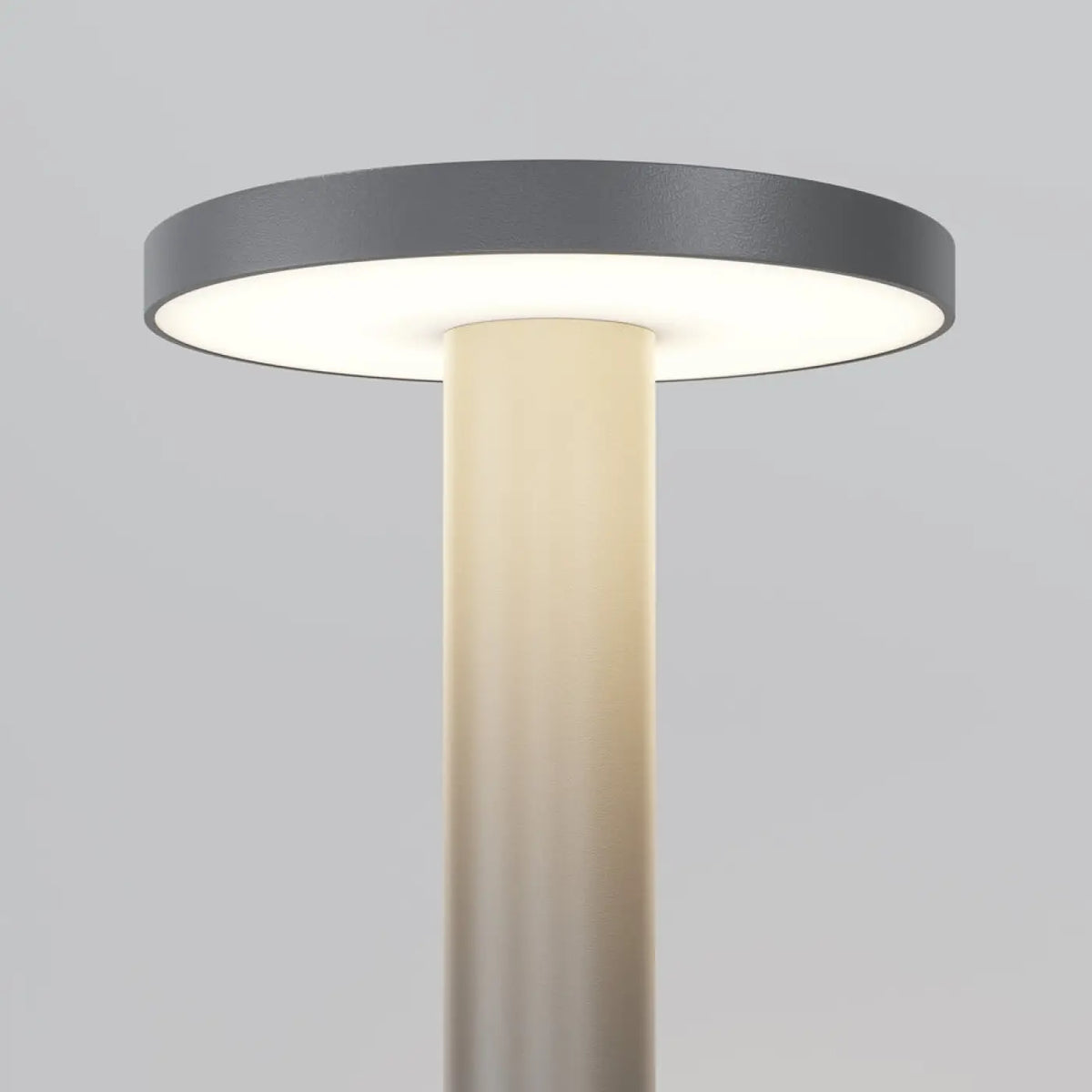 Borne LED extérieure champignon en acier anthracite, IP65