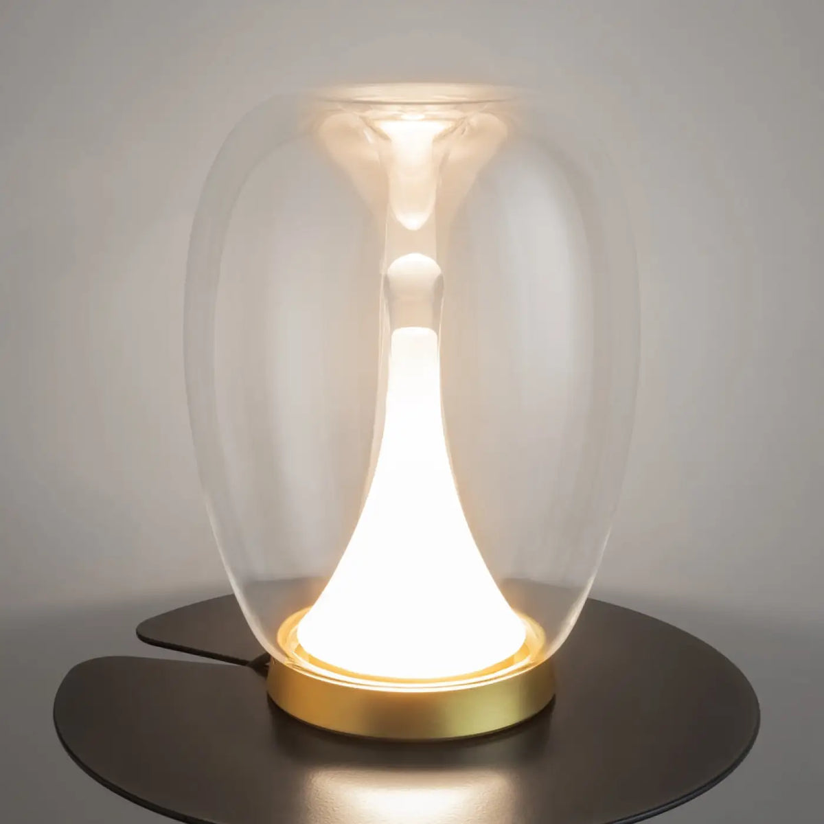 Lampe de chevet LED globe en verre fumé ou transparent, transparent