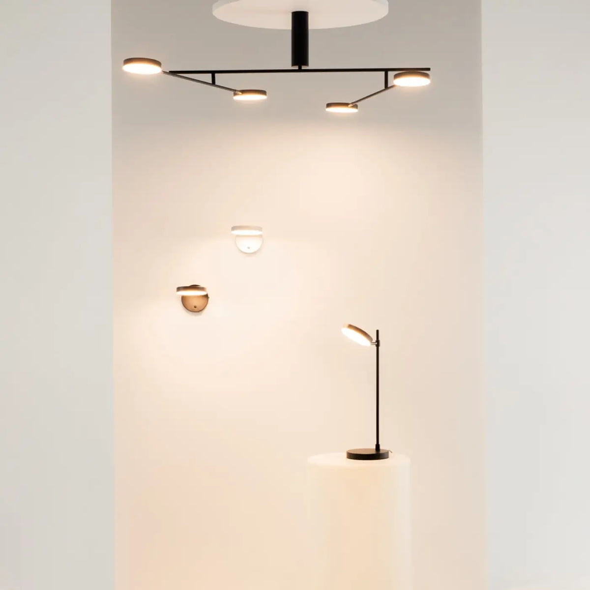 Lampe à poser LED à tête ronde orientable, métal noir mat