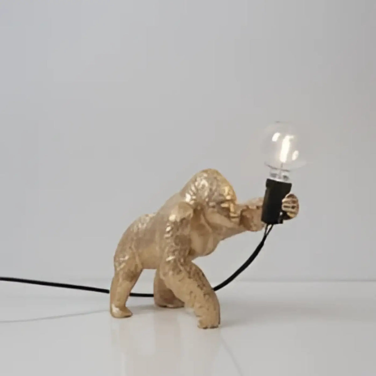 Lampe gorille tenant une ampoule visible, trois modèles