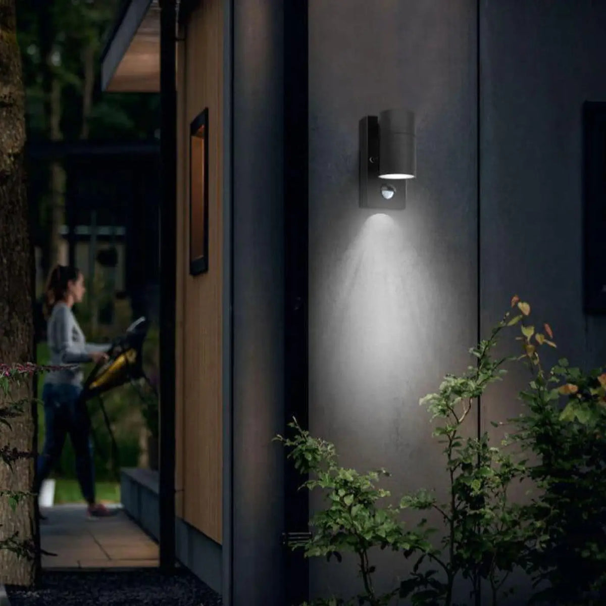 Luminaire extérieur LED mural, coloris noir ou argenté, noir