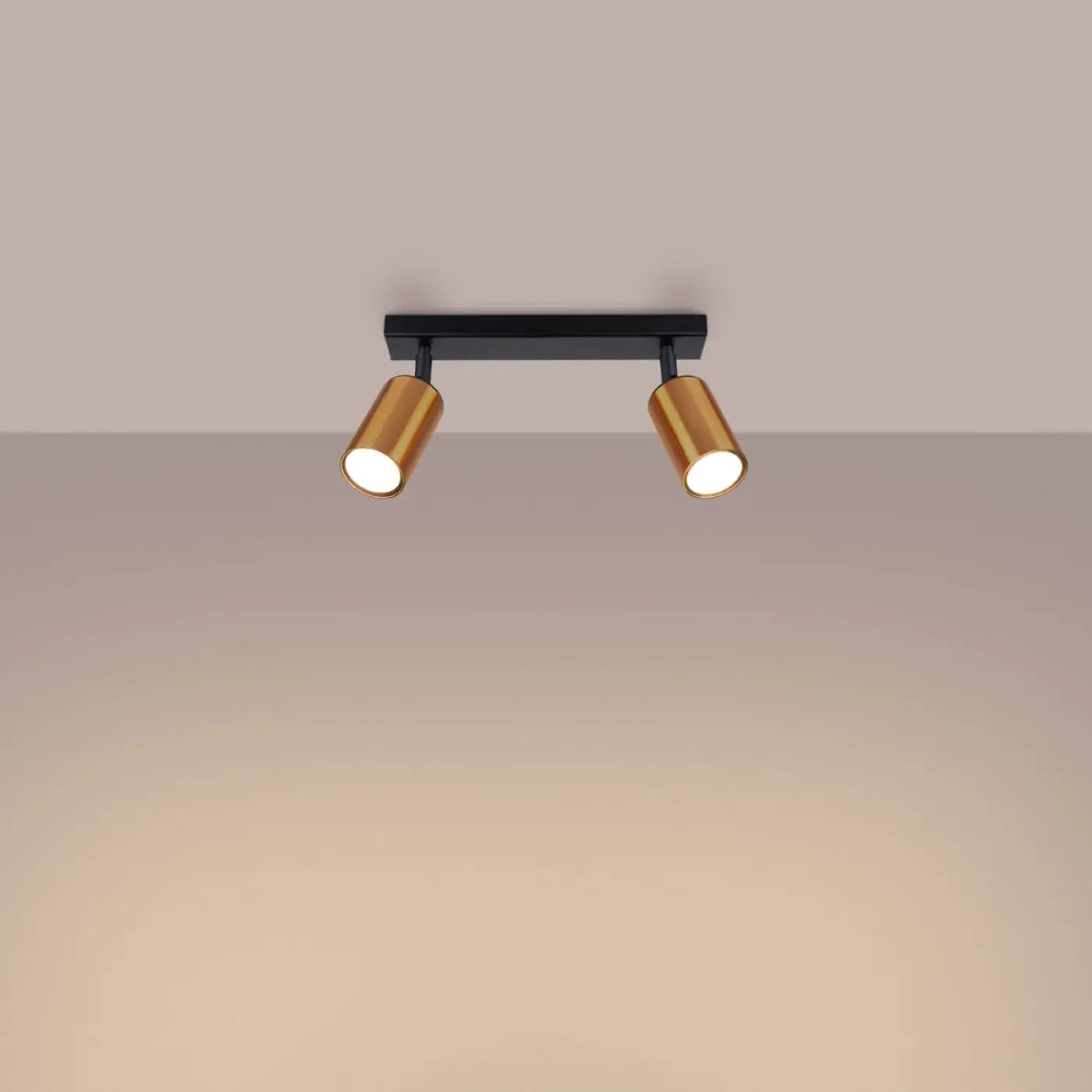 Plafonnier 2 spots orientables noir et cuivre, barre de 30 cm