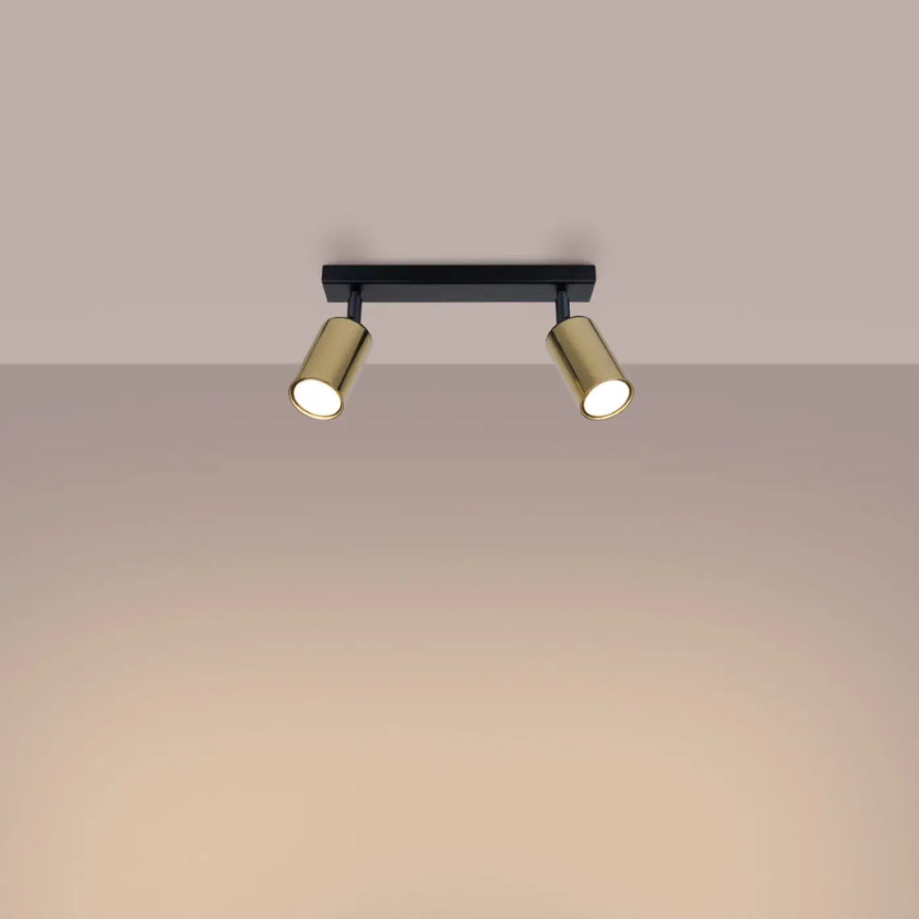 Plafonnier 2 spots orientables noir et doré, barre de 30 cm