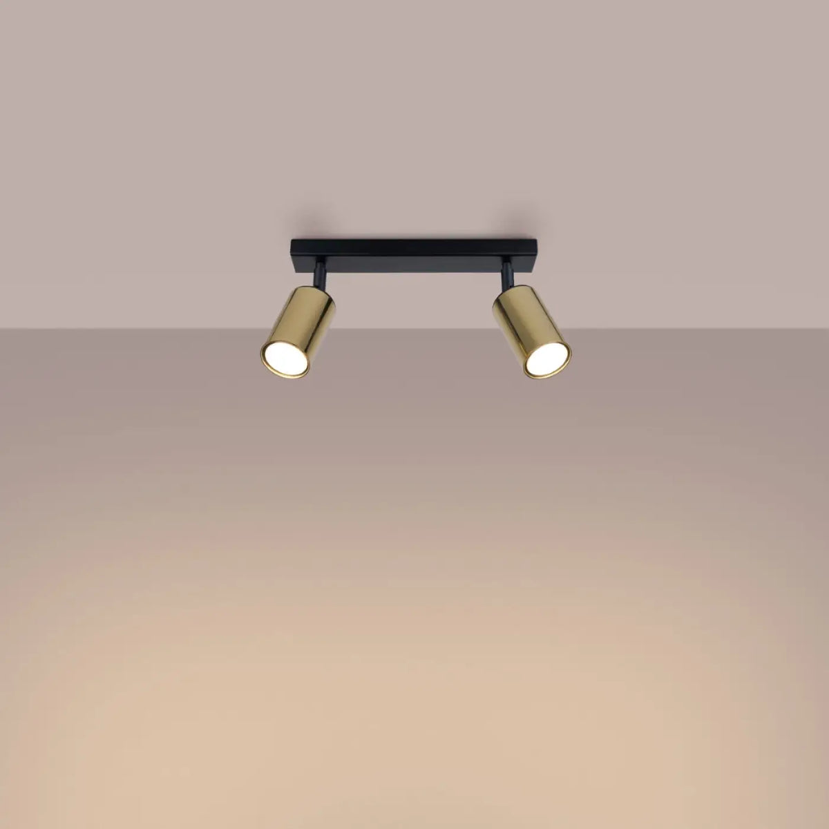 Plafonnier 2 spots orientables noir et doré, barre de 30 cm