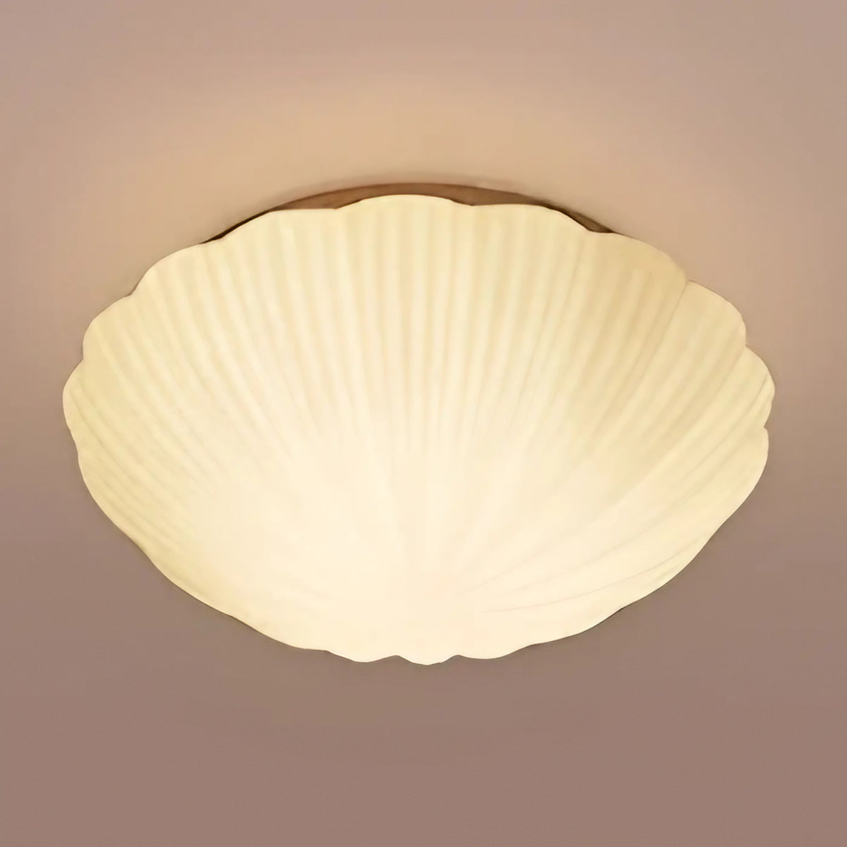 Plafonnier en forme de coquillage nervuré, tailles S et M