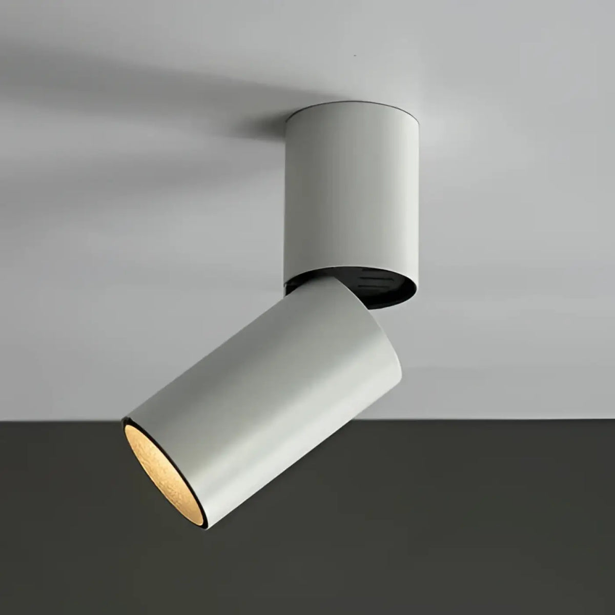 Plafonnier spot LED minimaliste, blanc, noir ou doré, blanc