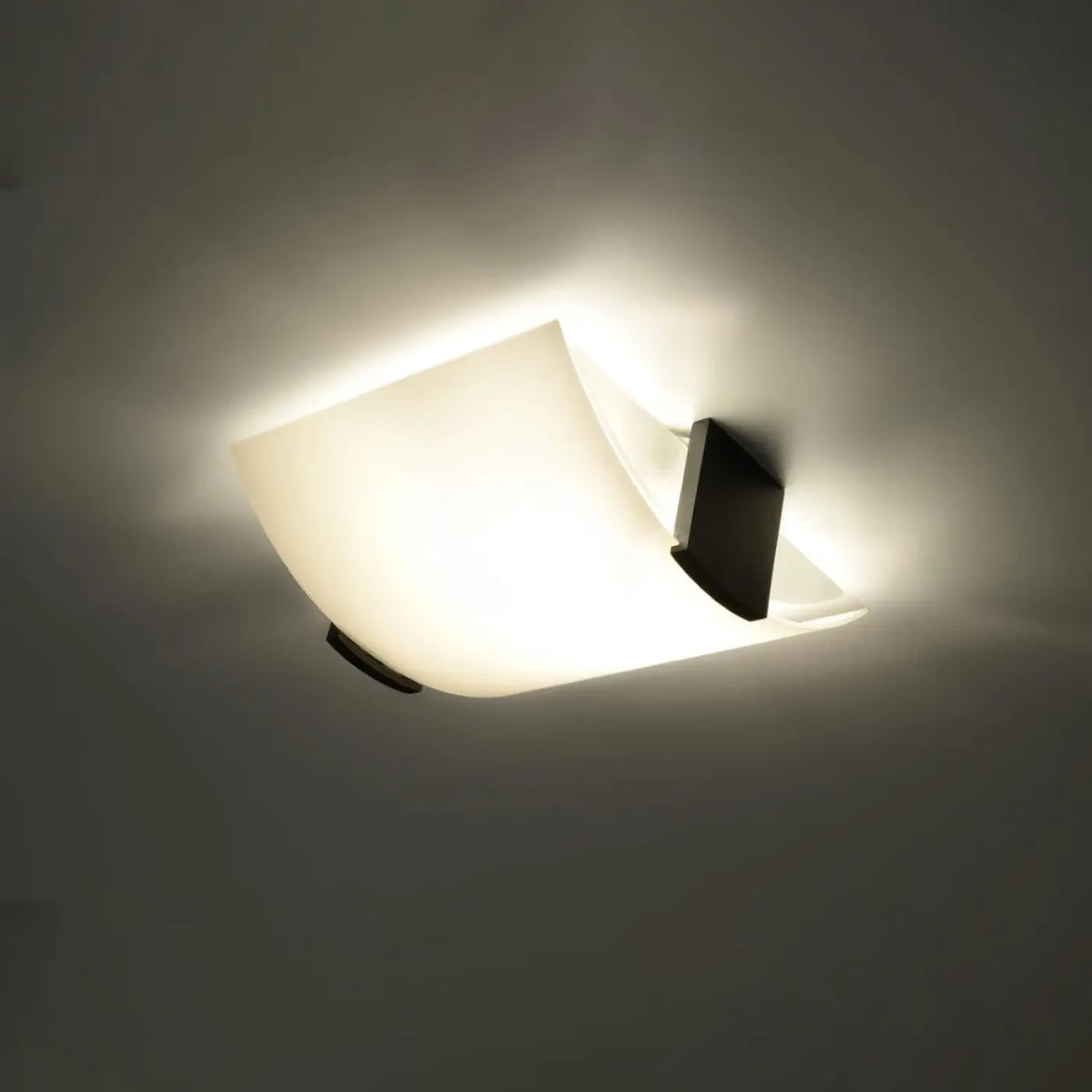 Plafonnier en verre blanc courbé et attaches en bois wengé
