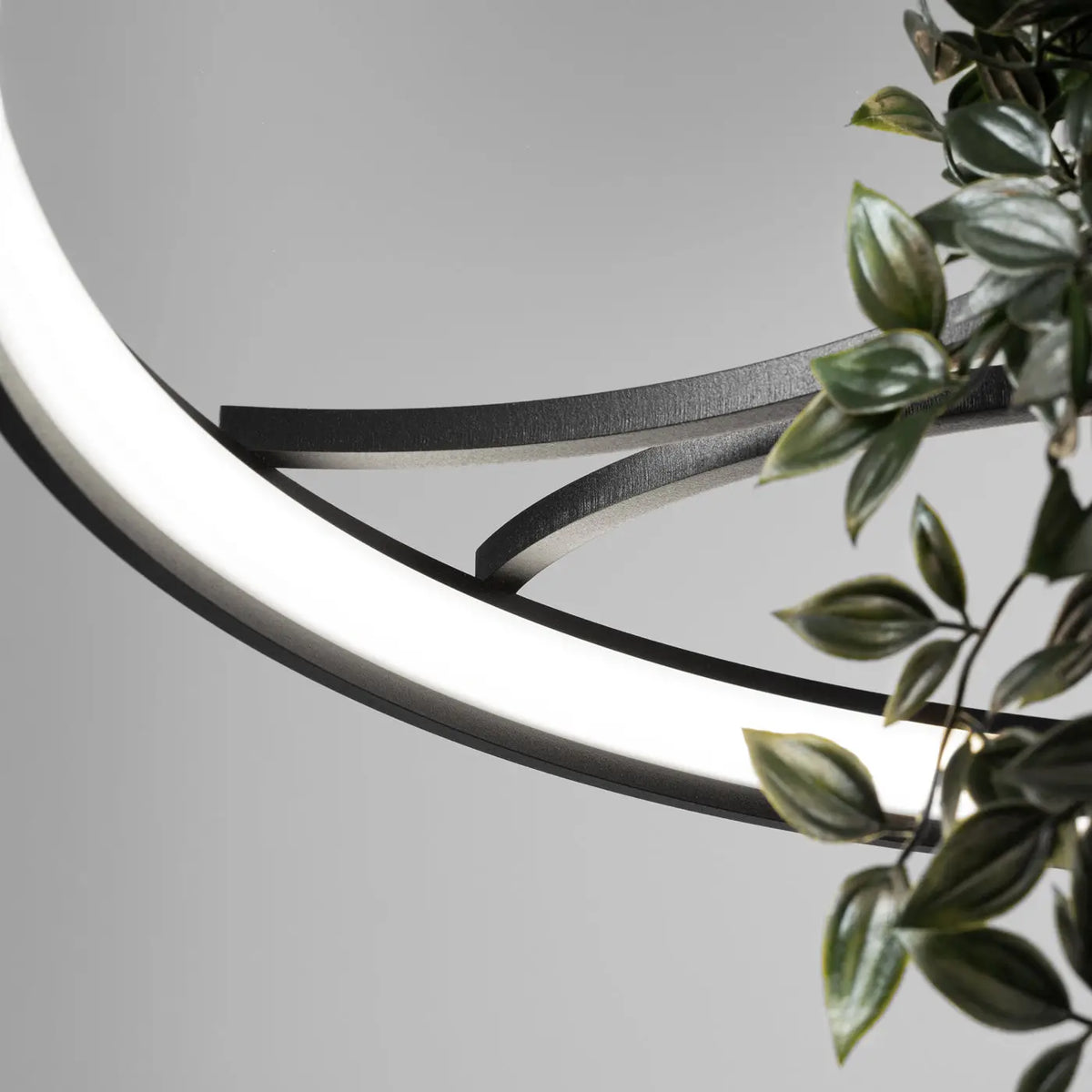 Suspension anneau LED noire avec plantes au centre, 78 ou 110 cm