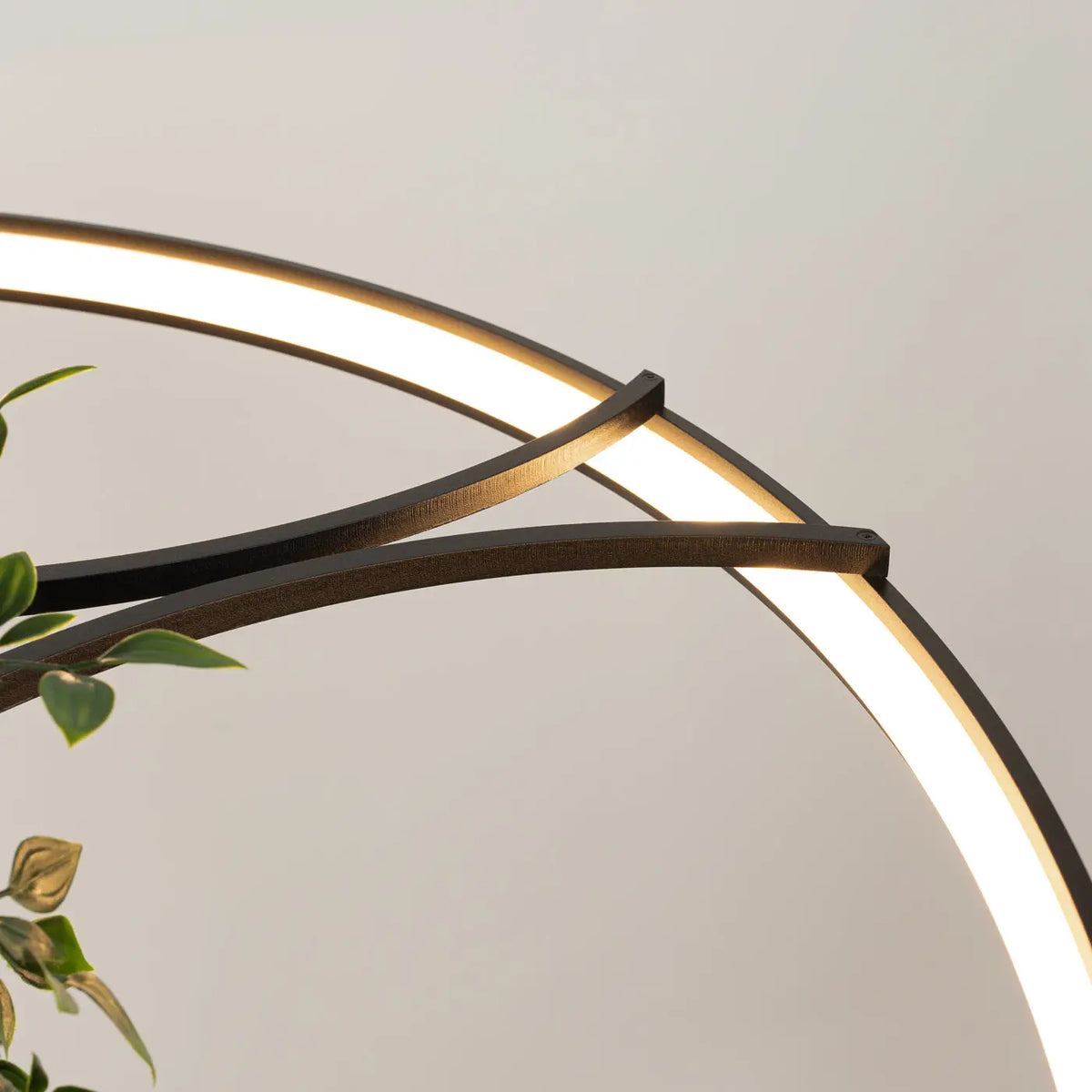 Suspension anneau LED noire avec plantes au centre, 78 ou 110 cm