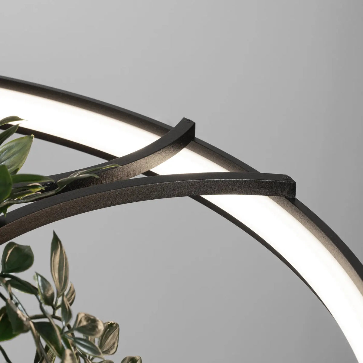 Suspension anneau LED noire avec plantes au centre, 78 ou 110 cm