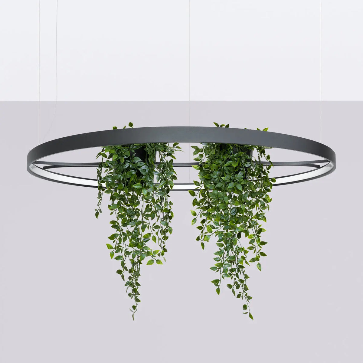 Suspension anneau LED noire avec plantes au centre, 78 ou 110 cm