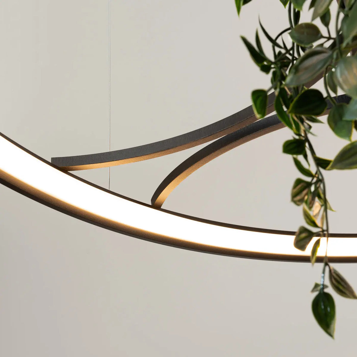 Suspension anneau LED noire avec plantes au centre, 78 ou 110 cm