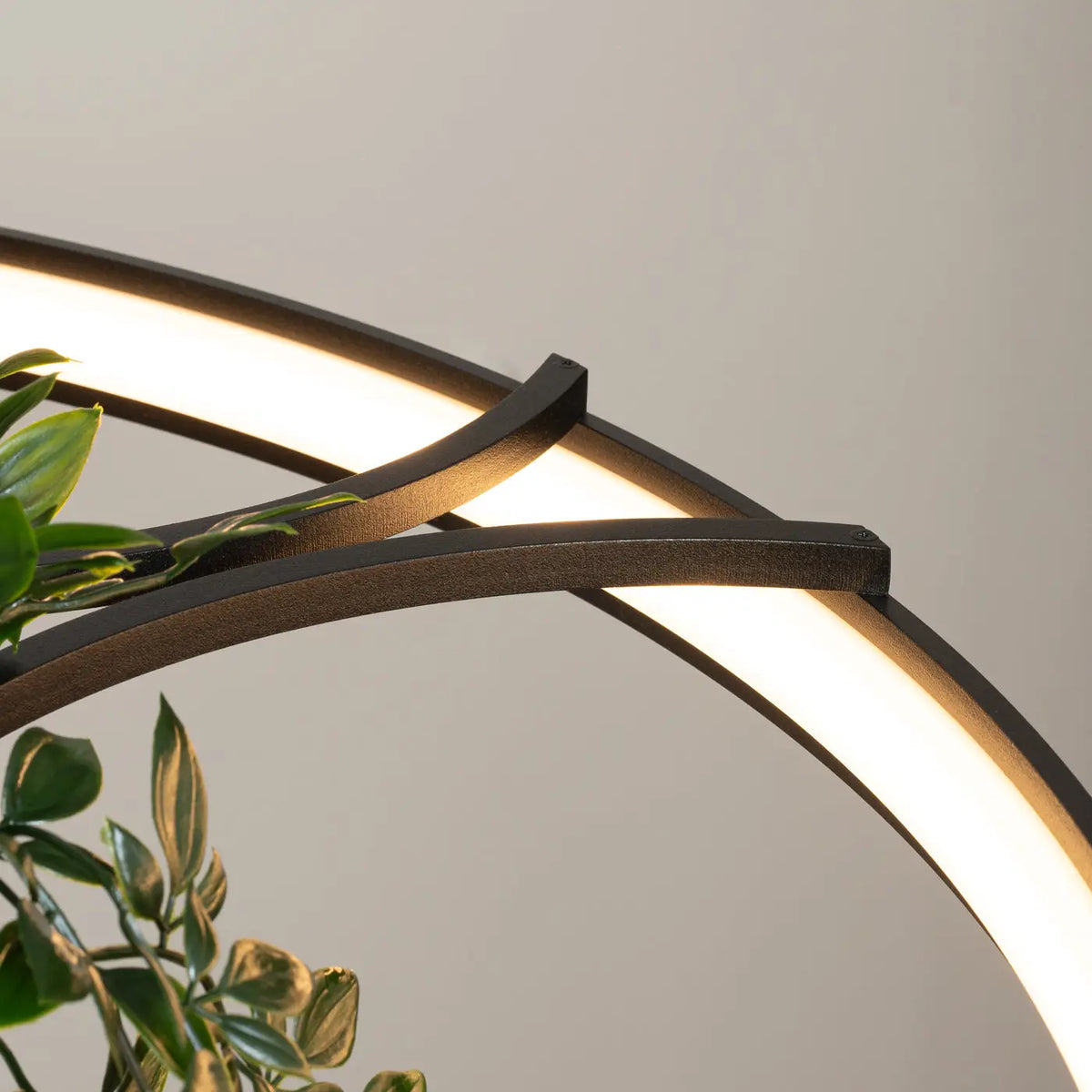 Suspension anneau LED noire avec plantes au centre, 78 ou 110 cm