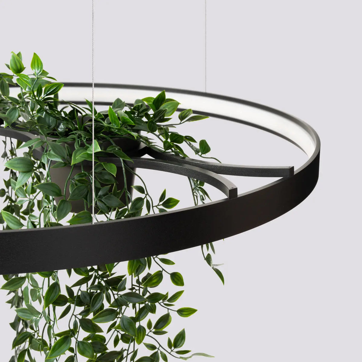 Suspension anneau LED noire avec plantes au centre, 78 ou 110 cm