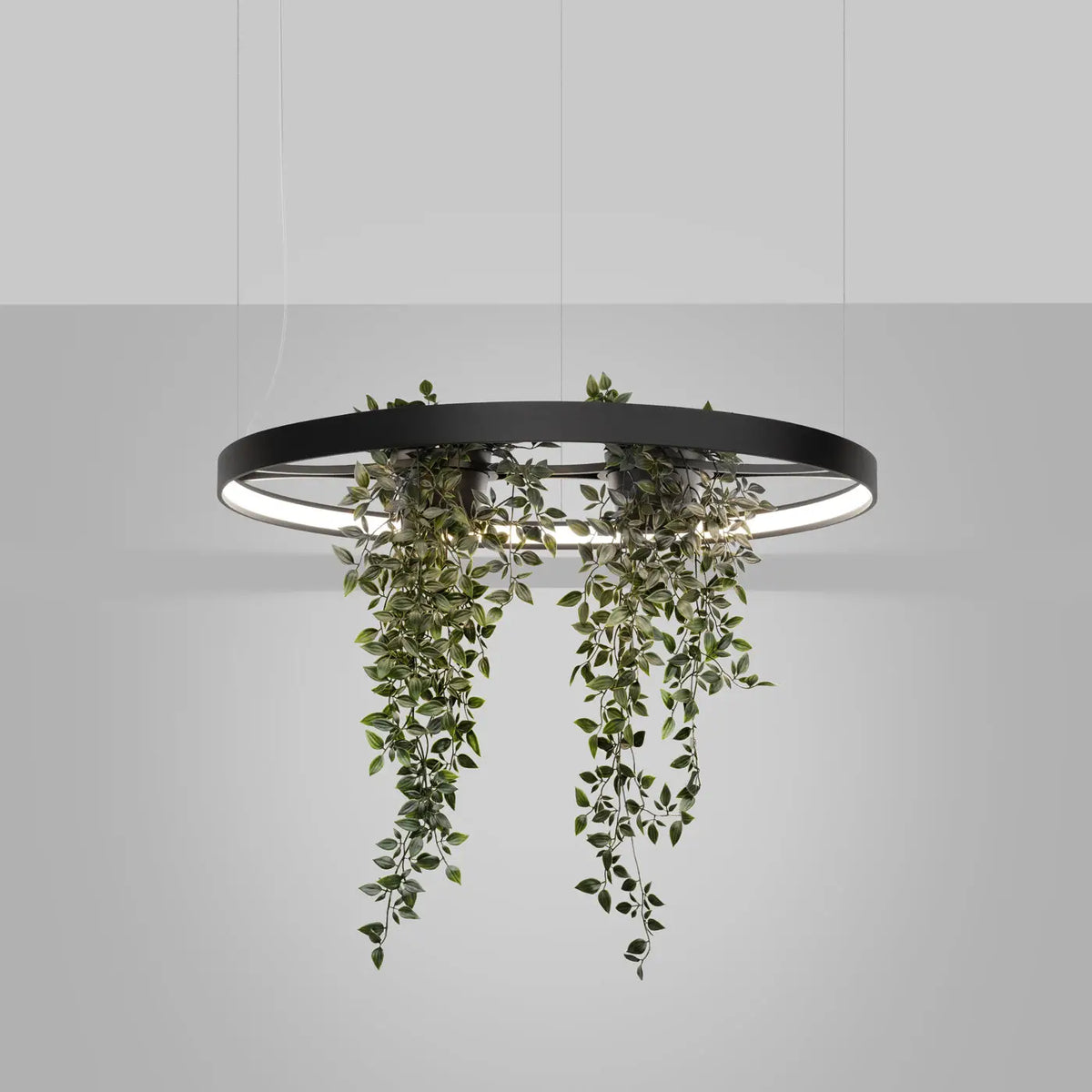 Suspension anneau LED noire avec plantes au centre, 78 ou 110 cm