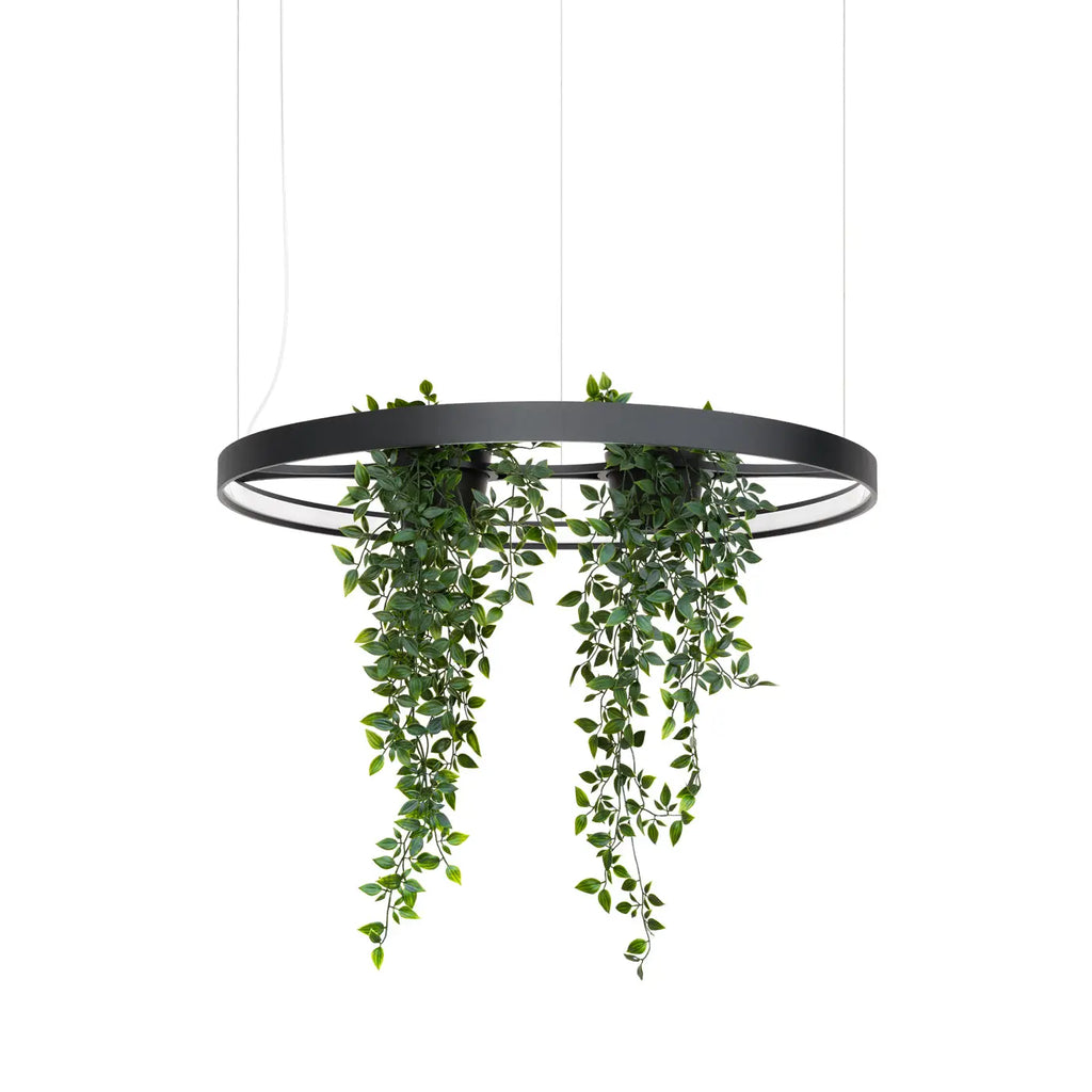 Suspension anneau LED noire avec plantes au centre, 78 ou 110 cm
