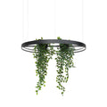 Suspension anneau LED noire avec plantes au centre, 78 ou 110 cm