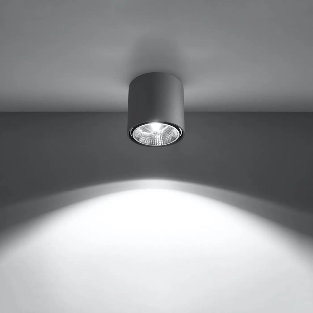 Spot de plafond en saillie, cylindre en aluminium de 12 cm