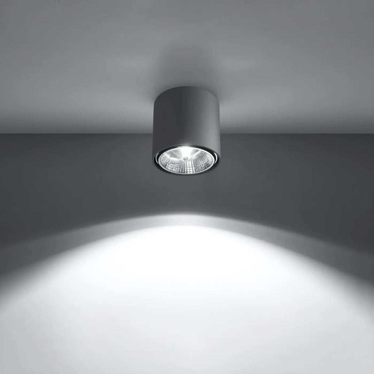 Spot de plafond en saillie, cylindre en aluminium de 12 cm