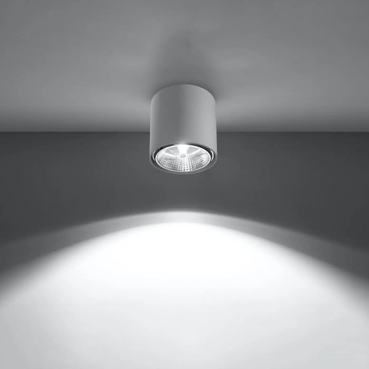 Spot de plafond en saillie, cylindre en aluminium de 12 cm
