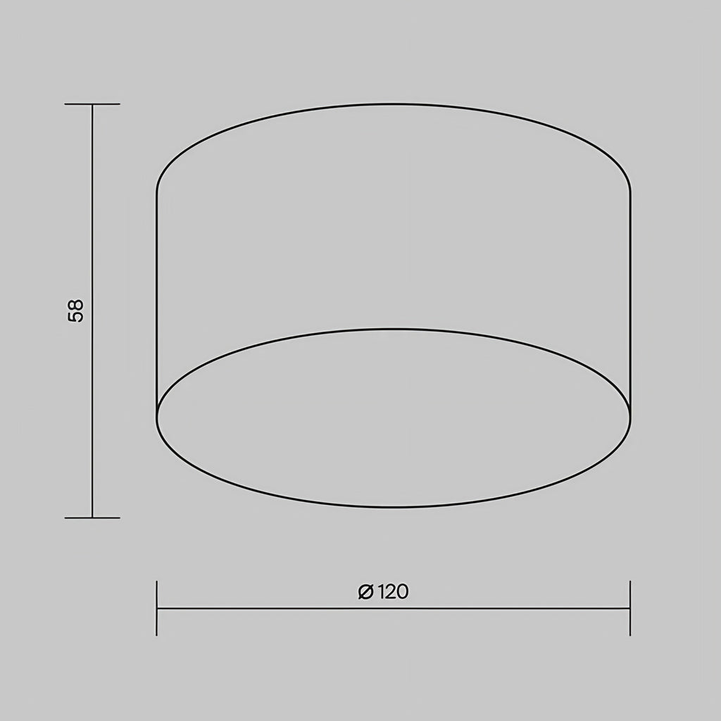 Plafonnier extérieur LED rond en acier, IP65, noir ou blanc