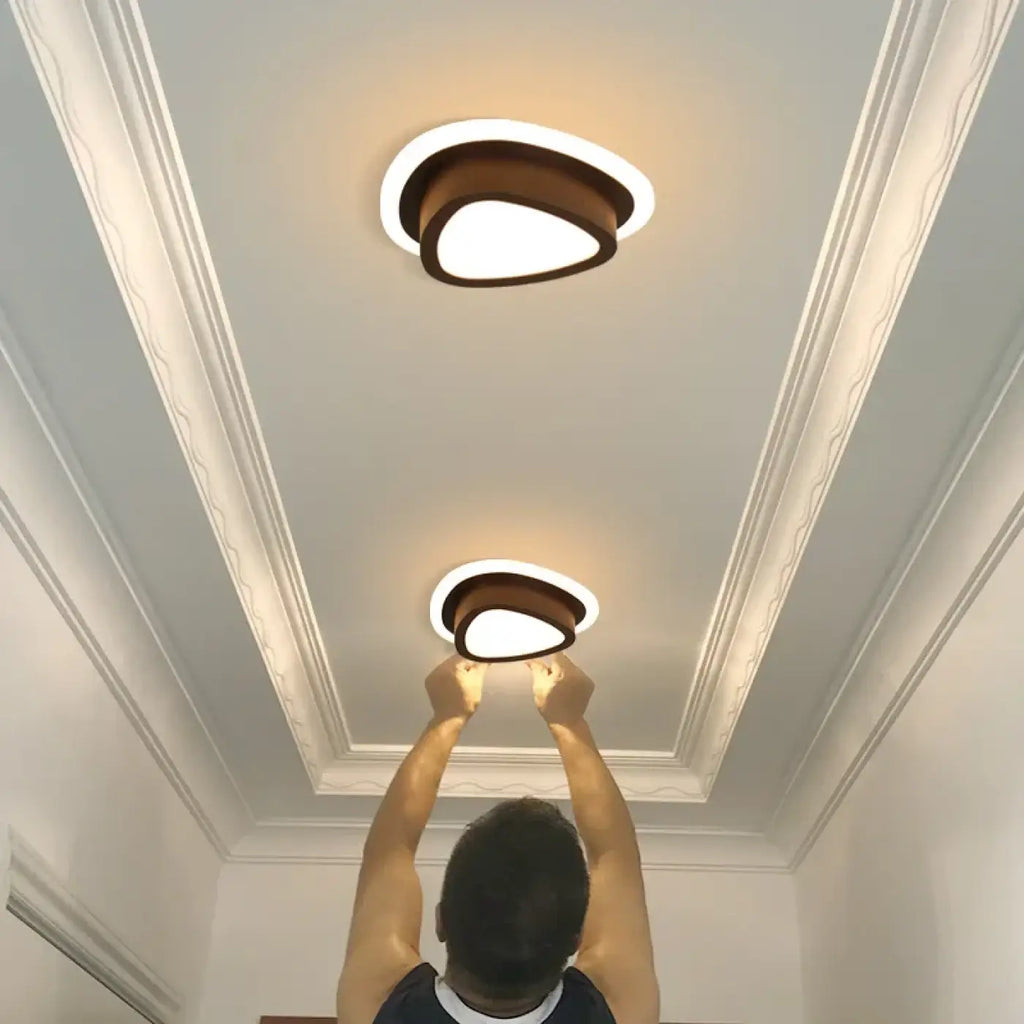 Plafonnier LED à forme sculptée, noir ou blanc, trois modèles