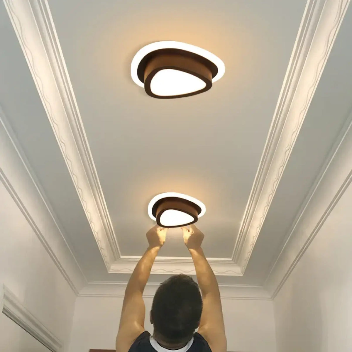 Plafonnier LED à forme sculptée, noir ou blanc, trois modèles