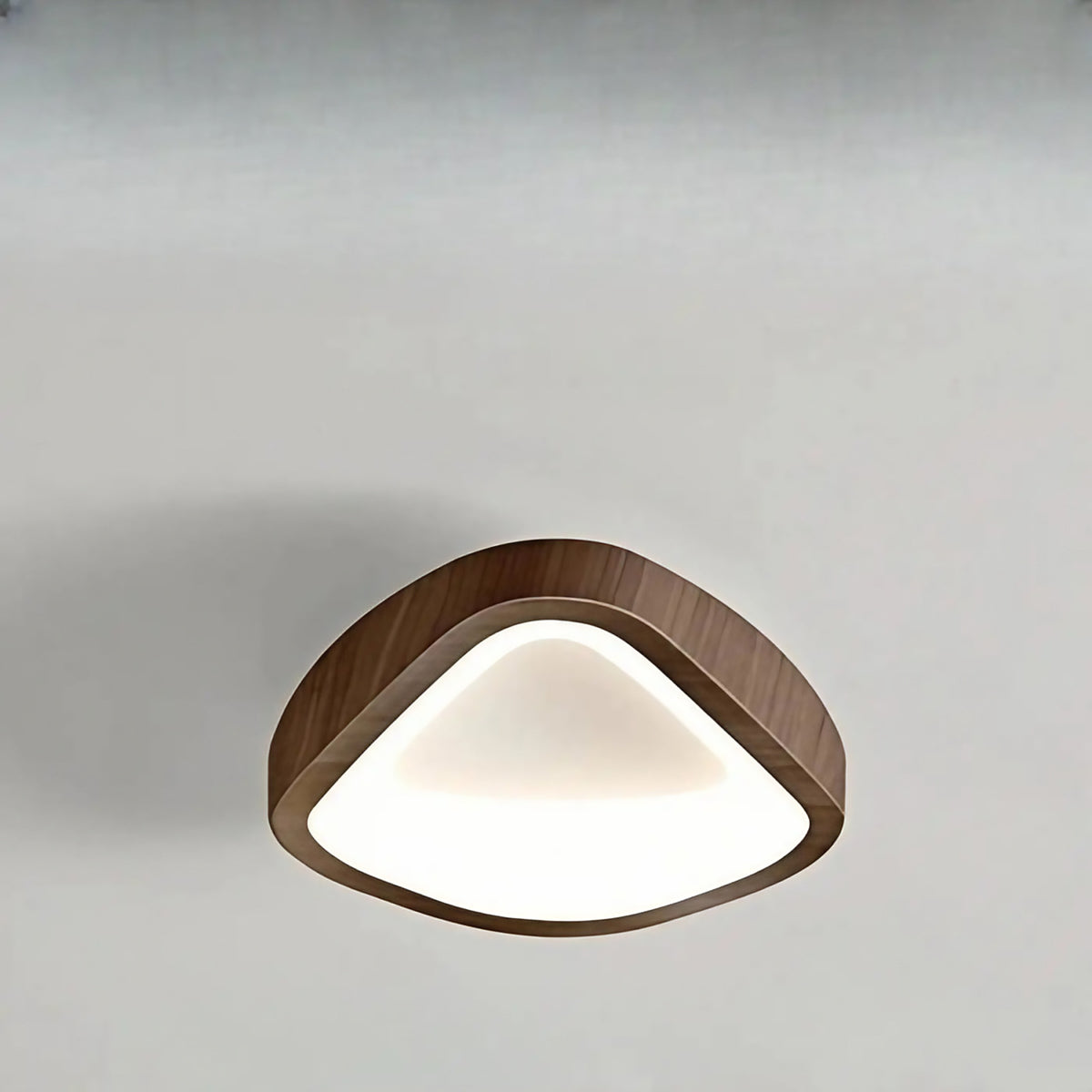 Plafonnier en bois aux formes organiques, six modèles, marron