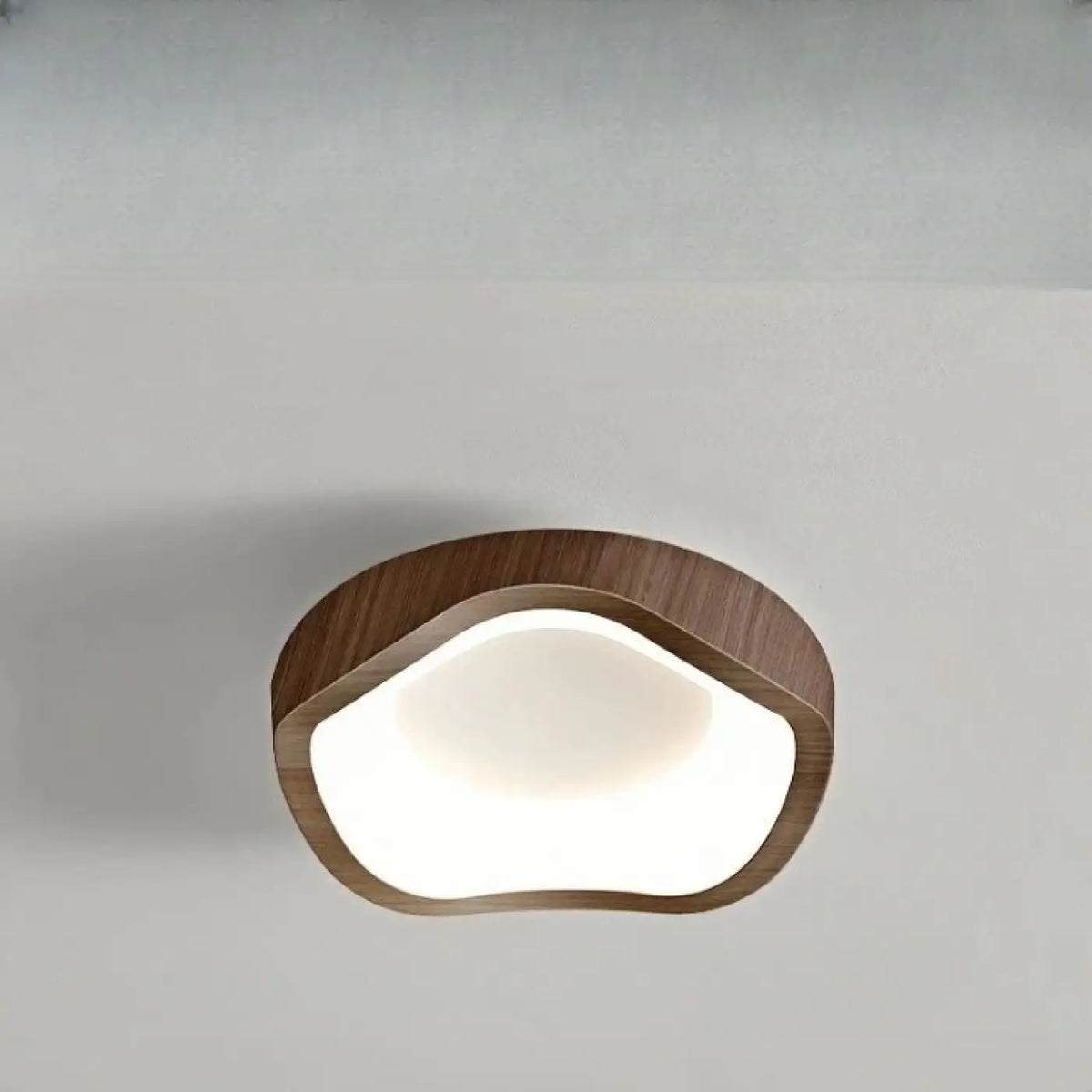 Plafonnier en bois aux formes organiques, six modèles, marron