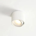 Plafonnier compact à spot orienté, forme cylindrique, blanc