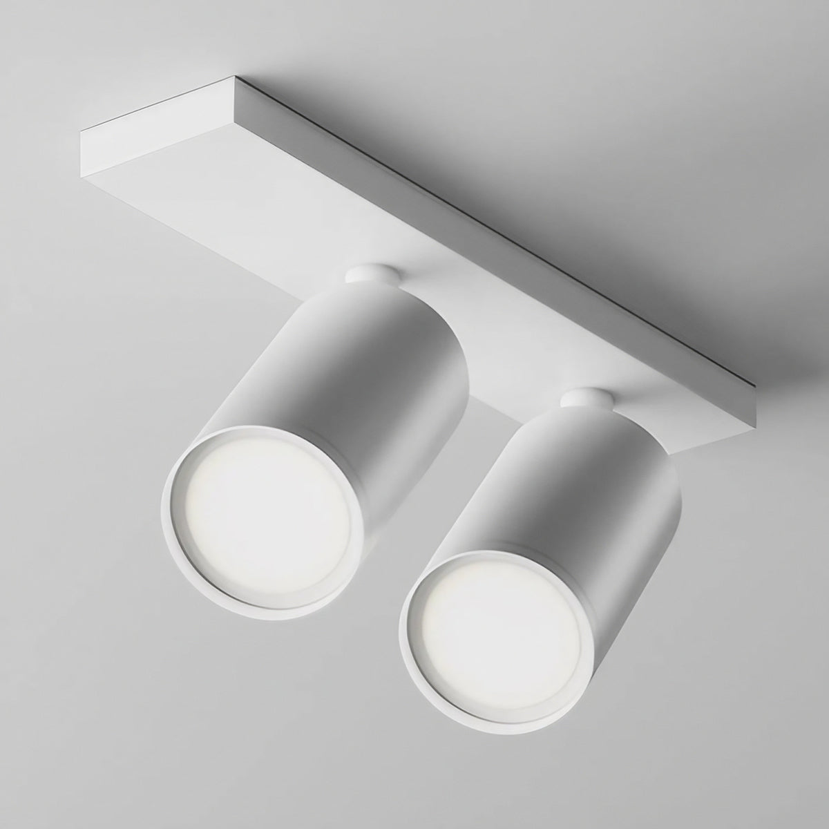 Spot double à deux têtes orientables en acier, 2 x GU10