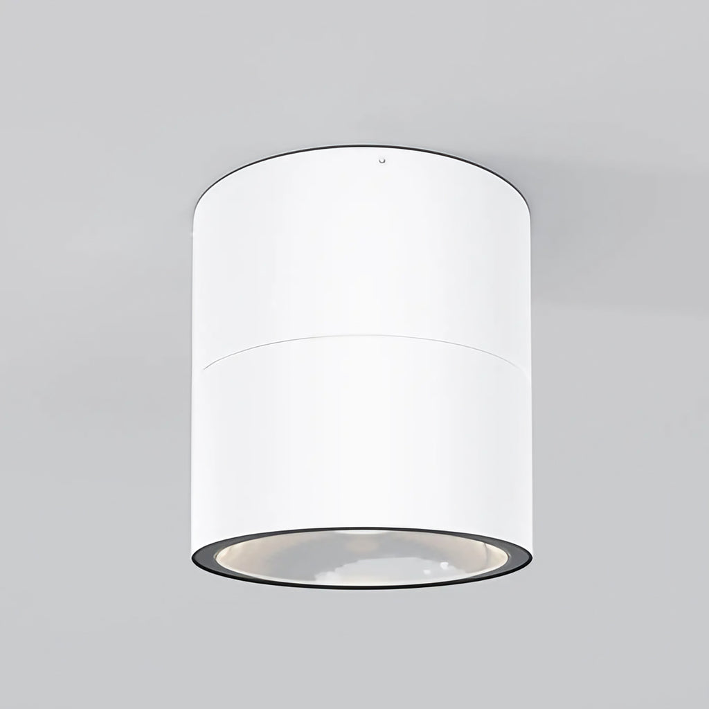 Spot LED orientable en saillie IP54, 1050 lumens