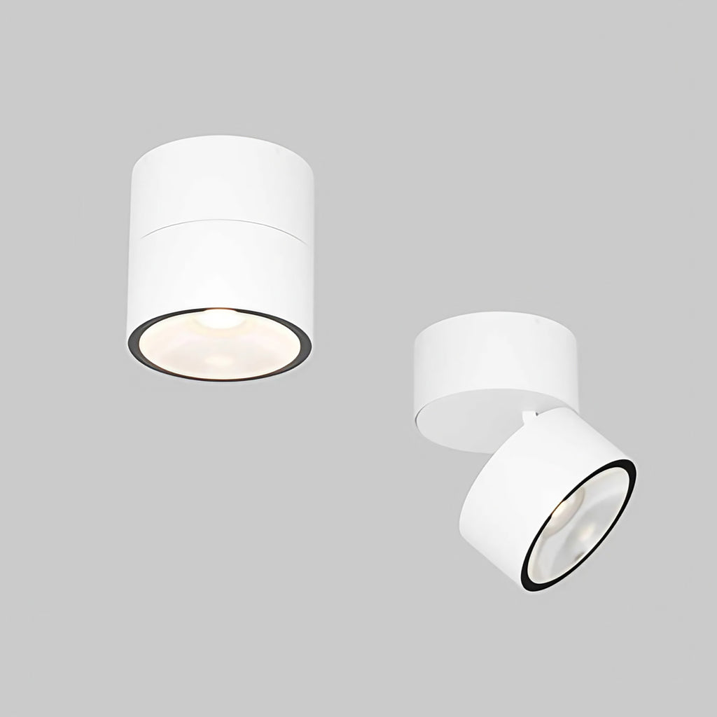 Spot LED orientable en saillie IP54, 1050 lumens