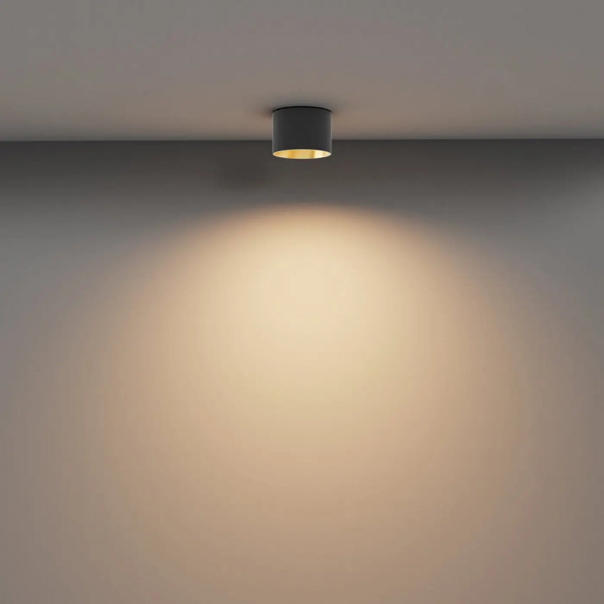 Spot en saillie LED disque rond en aluminium, trois tailles, doré