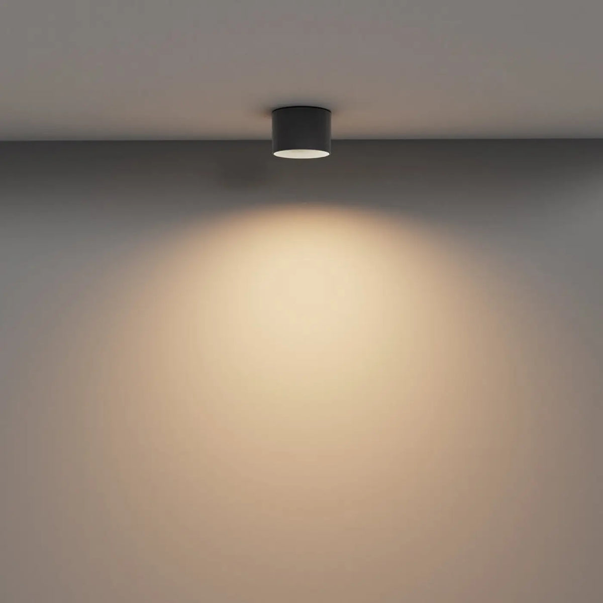 Spot en saillie LED disque rond en aluminium, trois tailles, noir