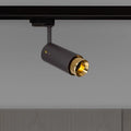 Spot sur rail orientable en aluminium, déflecteur gravé, GU10, doré