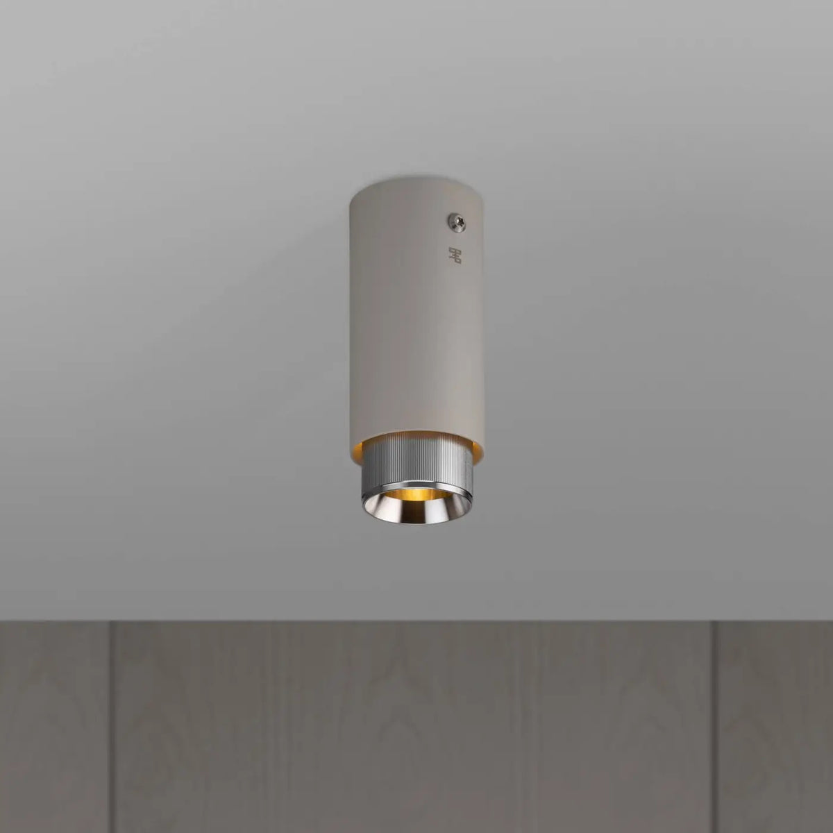 Spot de plafond fixe en saillie, cylindre en aluminium gravé, argenté