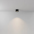 Spot LED en saillie disque IP44 en aluminium, deux tailles, noir