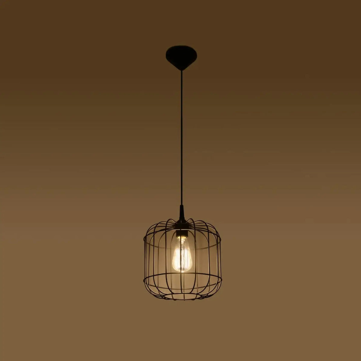 Suspension cage cylindrique en fil d'acier noir, 23 cm
