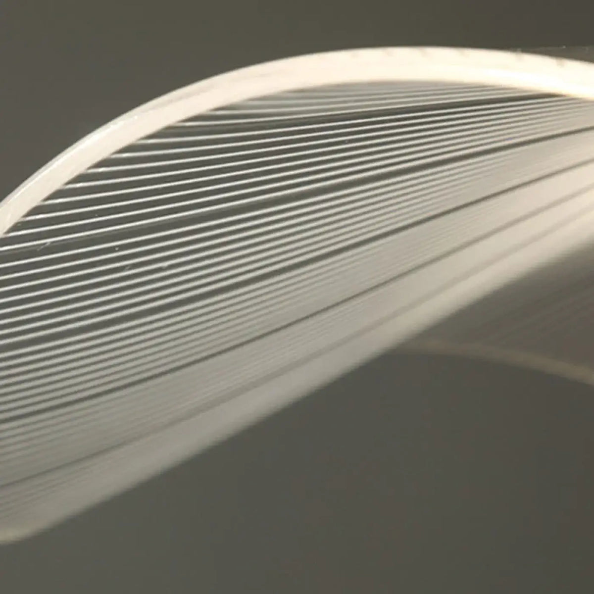 Suspension blanche feuille de lotus, quatre tailles