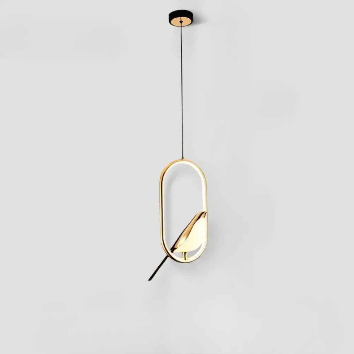 Suspension design oiseau dans un halo lumineux, ronde ou ovale