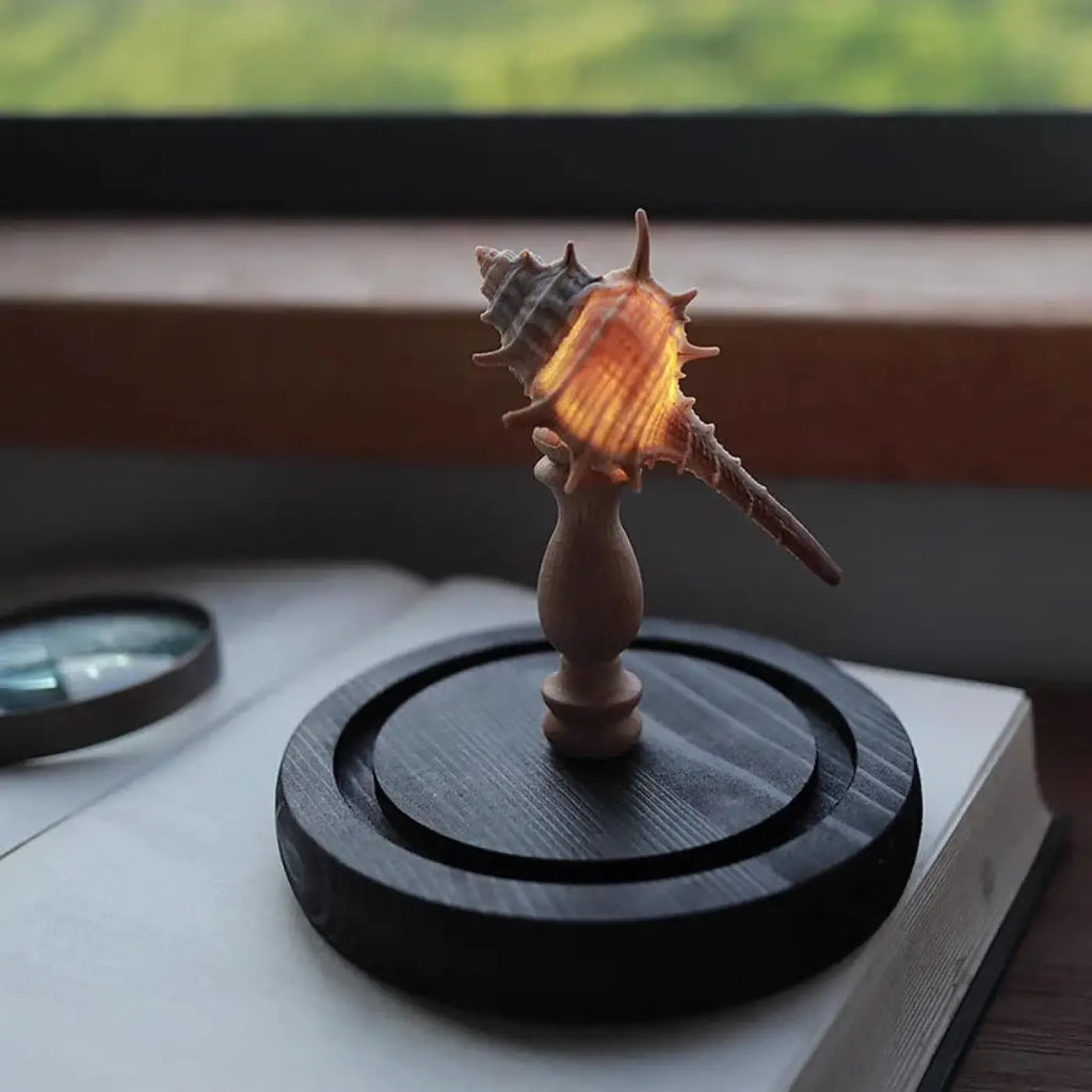 Veilleuse oursin lumineux sous cloche en verre, quatre coloris