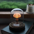 Veilleuse oursin lumineux sous cloche en verre, quatre coloris, rose