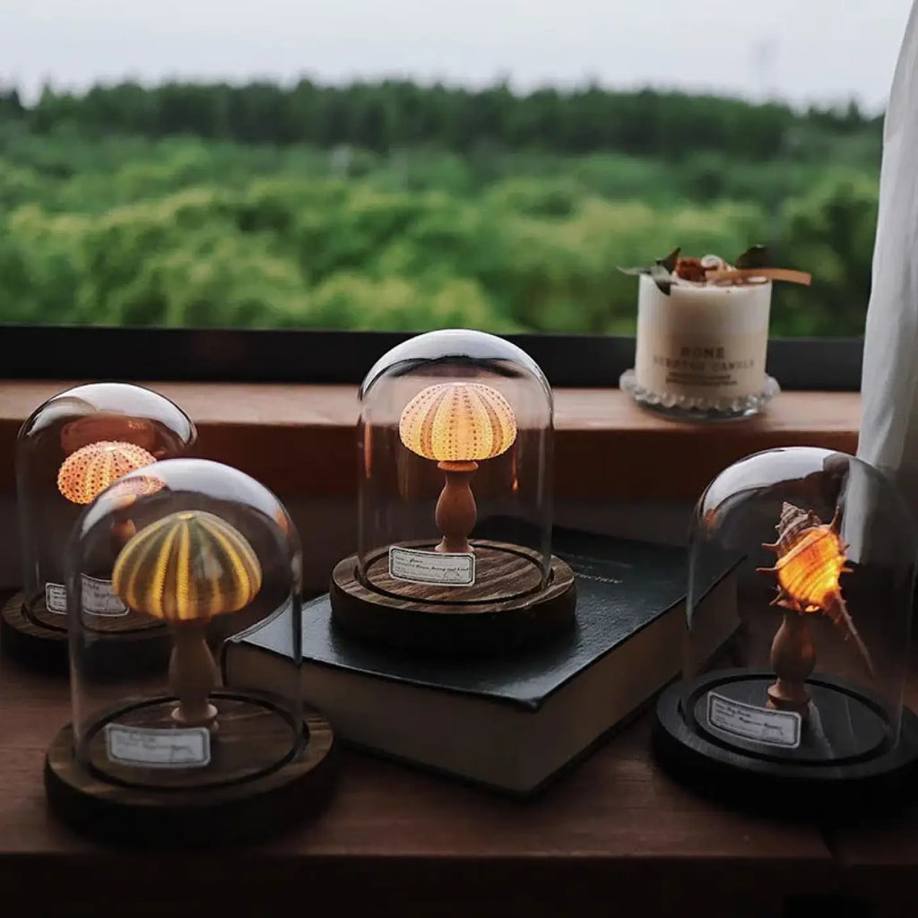 Veilleuse oursin lumineux sous cloche en verre, quatre coloris