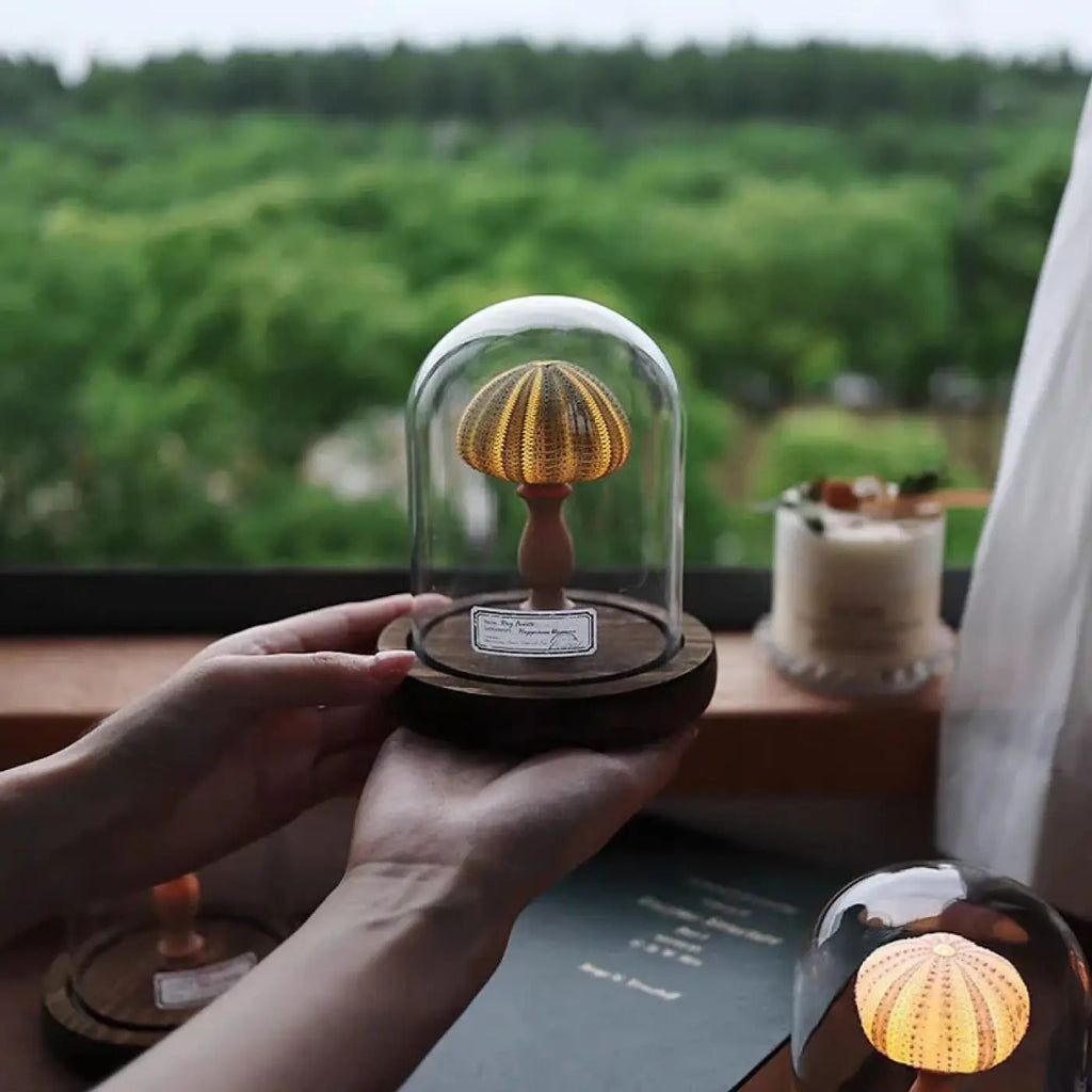 Veilleuse oursin lumineux sous cloche en verre, quatre coloris