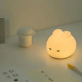 Veilleuse petit compagnon pour chambre d'enfant, idée cadeau